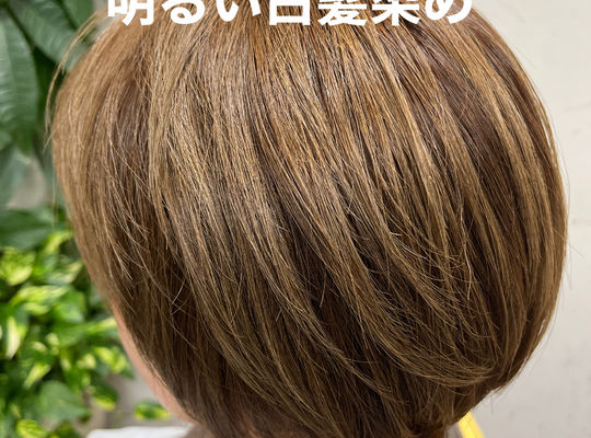 明るい白髪染め