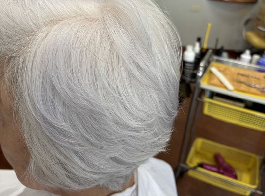 川越市グレイヘア