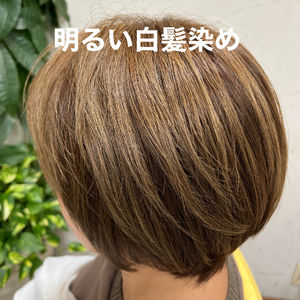 白髪を染めるには何色が良い
